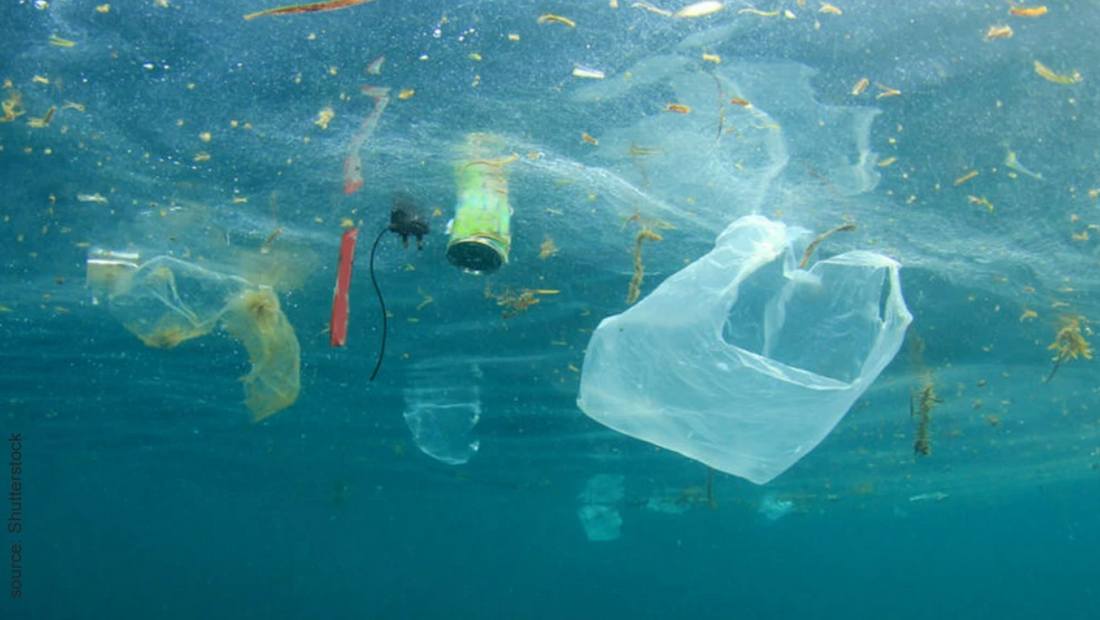 Einen Monat ohne Plastik