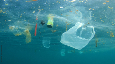 Einen Monat ohne Plastik - Kennst du schon den plastic free July?